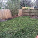 Monthly Lawn Maintenance